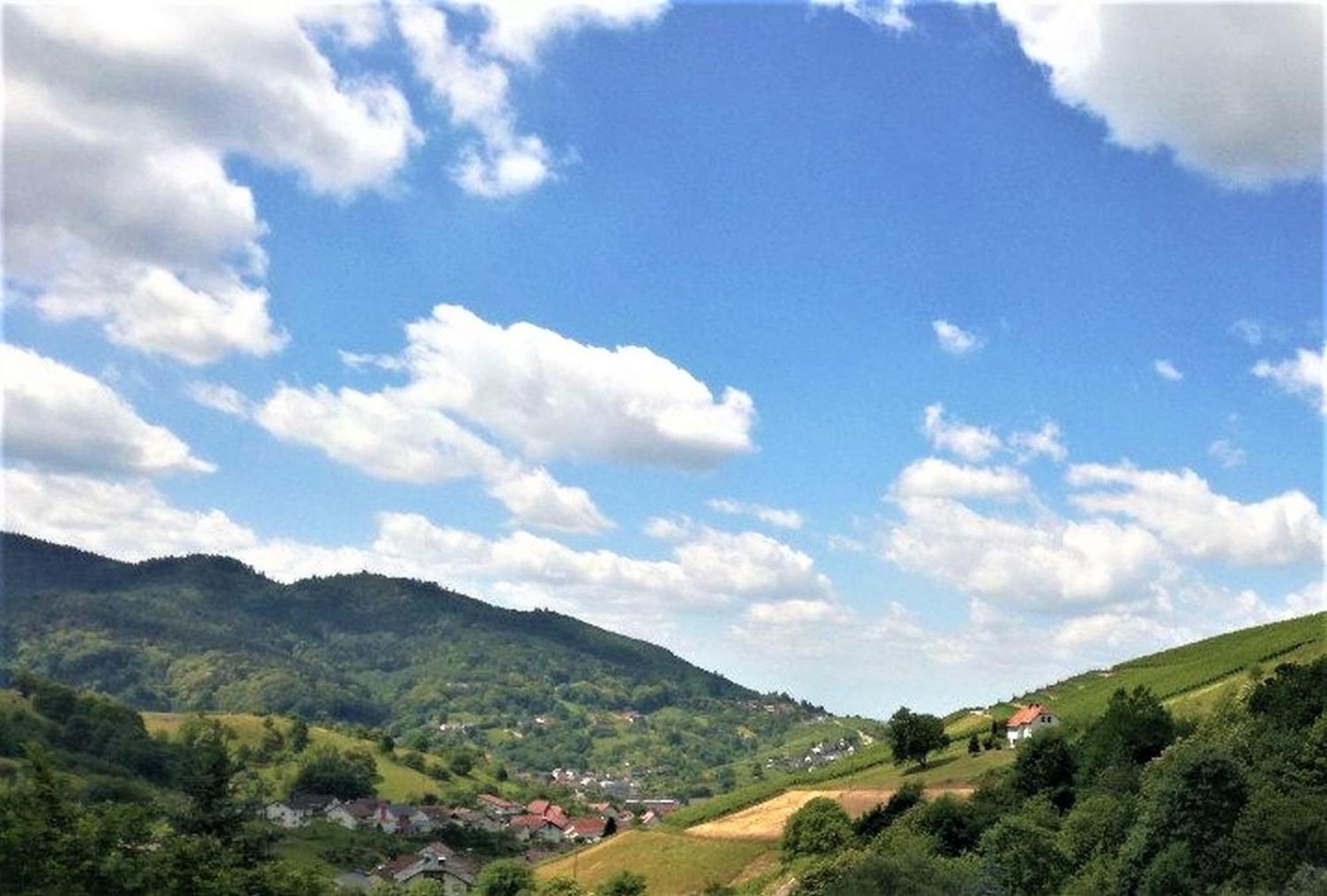 Ferienwohnung Wintereck Buhlertal Bagian luar foto