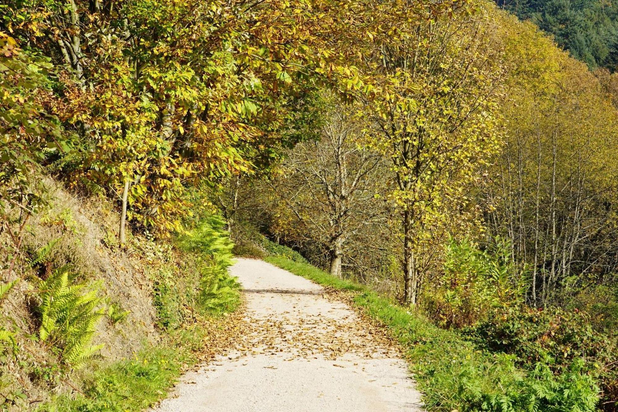 Ferienwohnung Wintereck Buhlertal Bagian luar foto