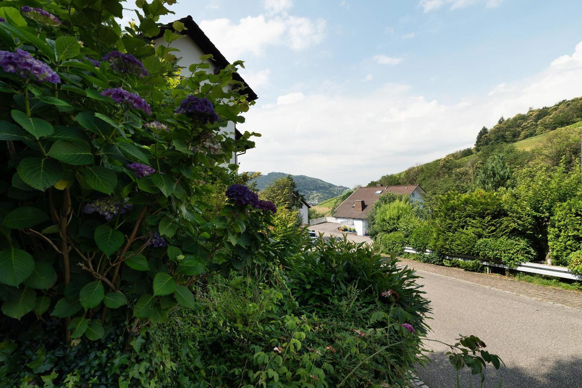 Ferienwohnung Wintereck Buhlertal Bagian luar foto