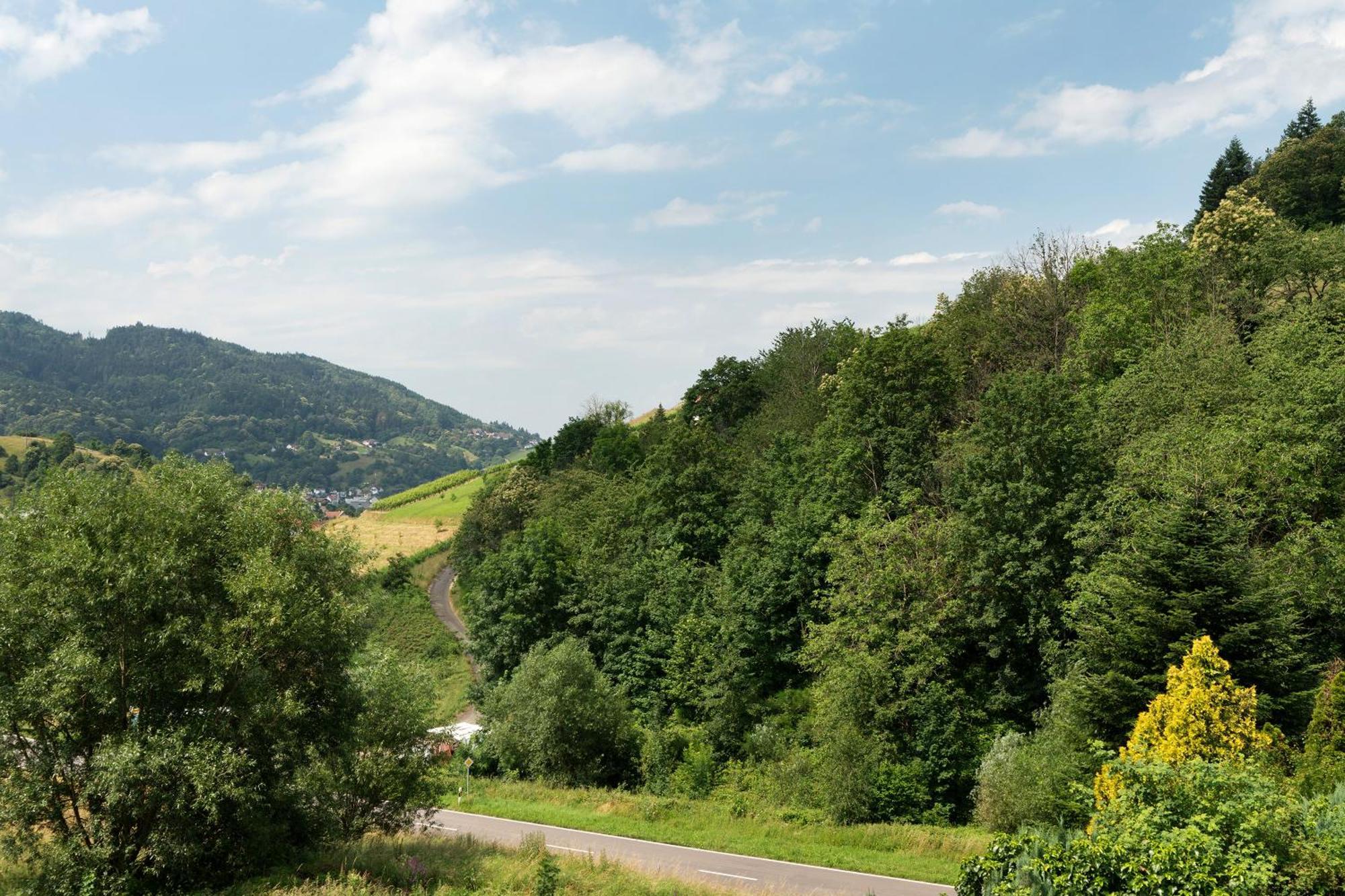 Ferienwohnung Wintereck Buhlertal Bagian luar foto