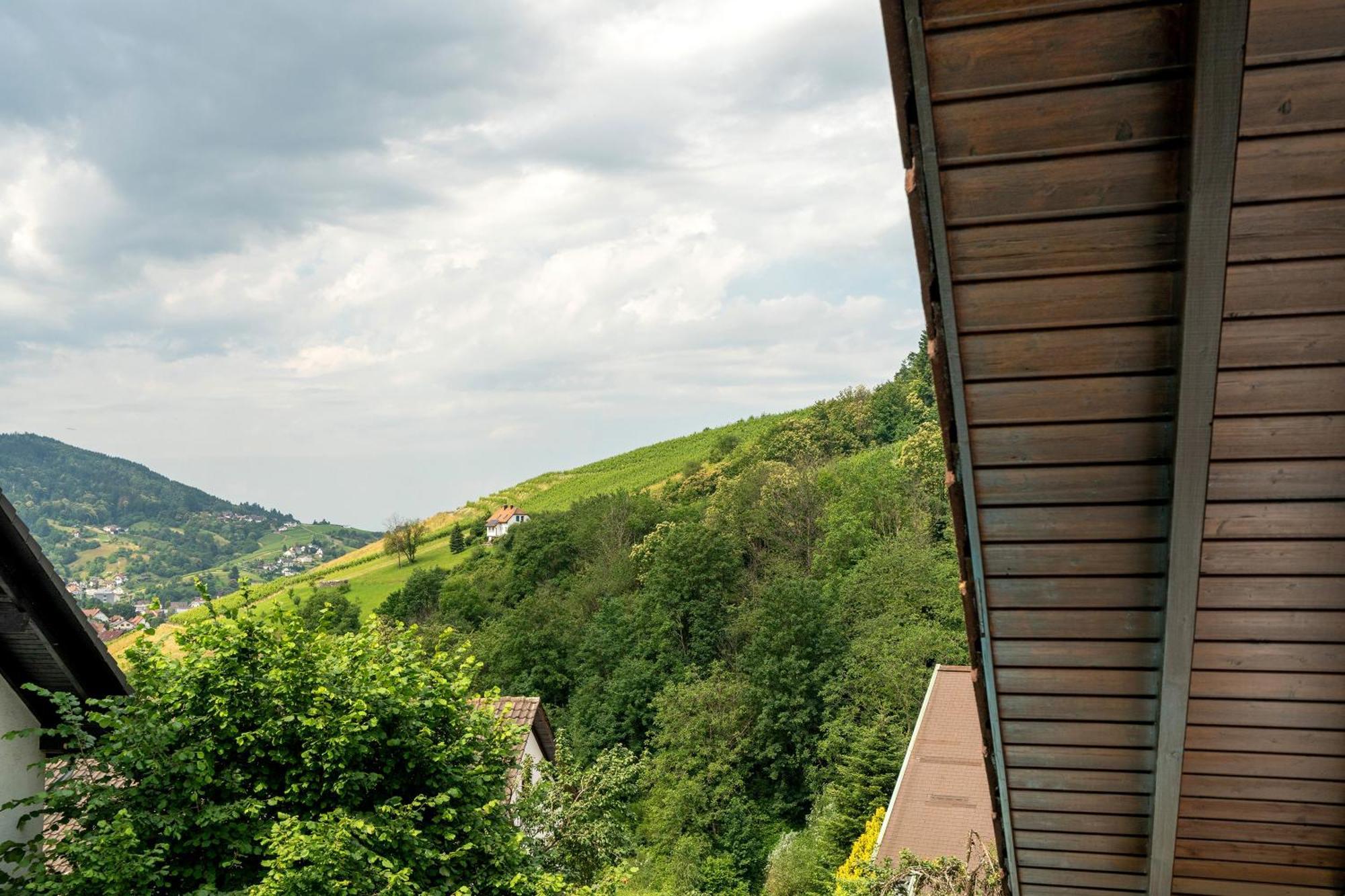Ferienwohnung Wintereck Buhlertal Bagian luar foto